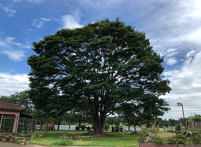 風土村４