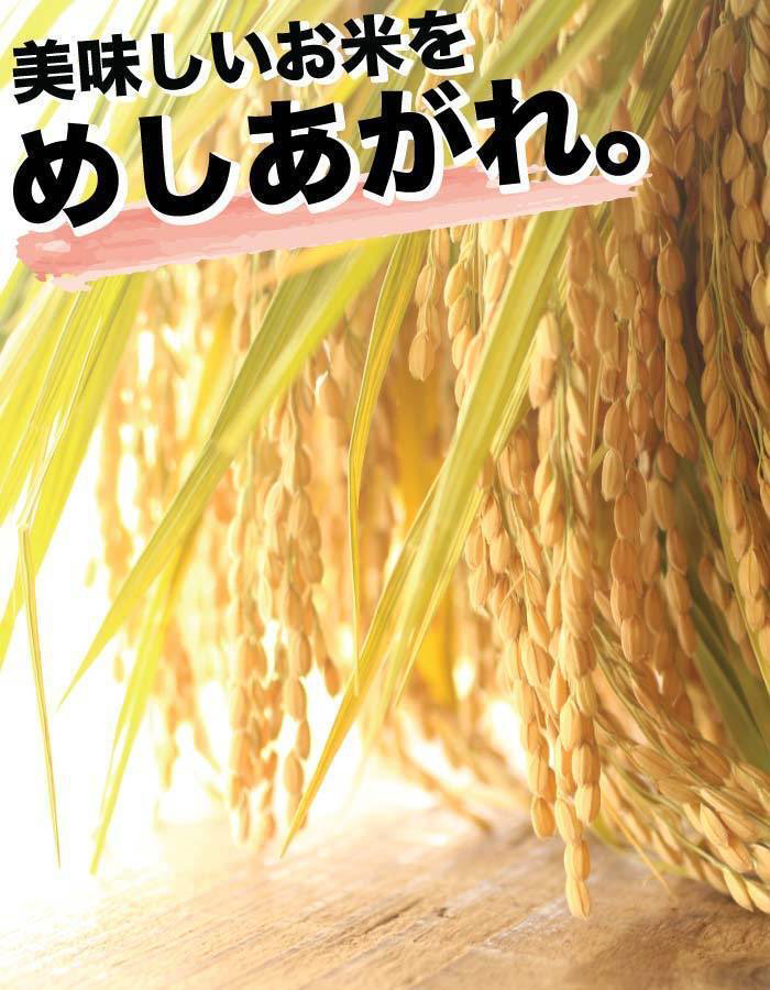 新米